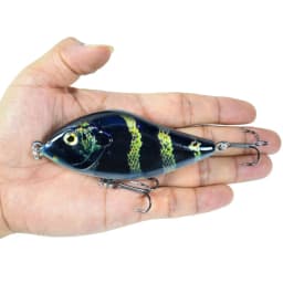 ALASICKA 70/100MM 14.5/45G For Pike Musky Fishing Slow Sinking Jerkbait Fishing Lure Slider Swim Action Hard Body Jerk Bait