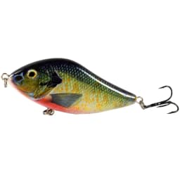ALASICKA 70/100MM 14.5/45G For Pike Musky Fishing Slow Sinking Jerkbait Fishing Lure Slider Swim Action Hard Body Jerk Bait
