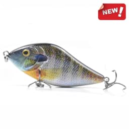 ALASICKA 70/100MM 14.5/45G For Pike Musky Fishing Slow Sinking Jerkbait Fishing Lure Slider Swim Action Hard Body Jerk Bait