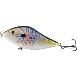 ALASICKA 70/100MM 14.5/45G For Pike Musky Fishing Slow Sinking Jerkbait Fishing Lure Slider Swim Action Hard Body Jerk Bait