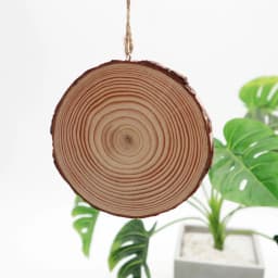 3-12cm Circles With Tree Bark Log Discs Thick Natural Pine Round Unfinished Wood Slices DIY Crafts Rustic Wedding Party Paintin