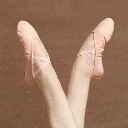 Ballet Dance Shoes for Women Girls Split Soft Sole Stretch Canvas Ballet Slippers Elastic Fabric Professional Ballet Shoes