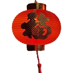 New Year LED Lantern Lighting Strings Decorations Chinese Character Plastic Balls Light String Spring Festival Home Party Decor