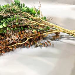 104cm Fake Eucalyptus Rattan Artificial Plants Vine Plastic Tree Branch Wall Hanging Leafs For Home Garden Outdoor Wedding Decor