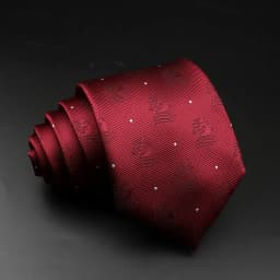 New Style Fashion Jacquard Floral Paisley Necktie Polyester Male Narrow Red Blue Tie Suit Shirt Gift For Men Accessory Gravatas