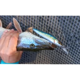 ESFISHING Jerkbait Minnow Lure 11cm 14g Dive 0-2.2m Floating Leurre Souple Hard Bait Peche Fishing for Perch Pike Bass