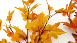 Simulation Maple Leaf Harvest Festival Thanksgiving Autumn Colors Festival Party Interior Decoration  Artificial Plants