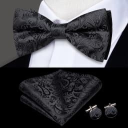Hi-Tie Pre-tied Men's Bowtie Hanky Cufflinks Set Bow Tie Cravat for Male Jacquard Solid Paisley Floral Men silk Wedding Business