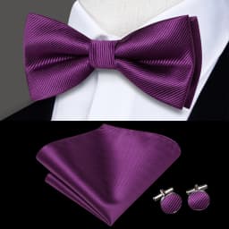 Hi-Tie Pre-tied Men's Bowtie Hanky Cufflinks Set Bow Tie Cravat for Male Jacquard Solid Paisley Floral Men silk Wedding Business