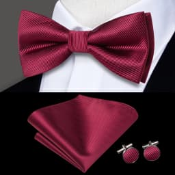 Hi-Tie Pre-tied Men's Bowtie Hanky Cufflinks Set Bow Tie Cravat for Male Jacquard Solid Paisley Floral Men silk Wedding Business