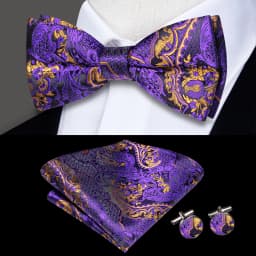 Hi-Tie Pre-tied Men's Bowtie Hanky Cufflinks Set Bow Tie Cravat for Male Jacquard Solid Paisley Floral Men silk Wedding Business