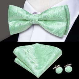 Hi-Tie Pre-tied Men's Bowtie Hanky Cufflinks Set Bow Tie Cravat for Male Jacquard Solid Paisley Floral Men silk Wedding Business