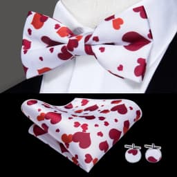 Hi-Tie Pre-tied Men's Bowtie Hanky Cufflinks Set Bow Tie Cravat for Male Jacquard Solid Paisley Floral Men silk Wedding Business