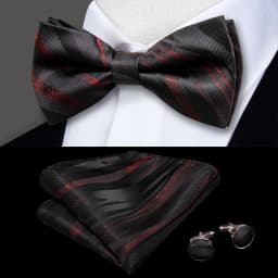 Hi-Tie Pre-tied Men's Bowtie Hanky Cufflinks Set Bow Tie Cravat for Male Jacquard Solid Paisley Floral Men silk Wedding Business