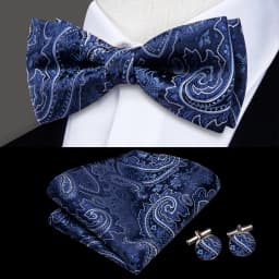 Hi-Tie Pre-tied Men's Bowtie Hanky Cufflinks Set Bow Tie Cravat for Male Jacquard Solid Paisley Floral Men silk Wedding Business