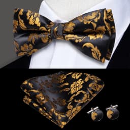 Hi-Tie Pre-tied Men's Bowtie Hanky Cufflinks Set Bow Tie Cravat for Male Jacquard Solid Paisley Floral Men silk Wedding Business