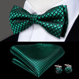 Hi-Tie Pre-tied Men's Bowtie Hanky Cufflinks Set Bow Tie Cravat for Male Jacquard Solid Paisley Floral Men silk Wedding Business