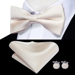 Hi-Tie Pre-tied Men's Bowtie Hanky Cufflinks Set Bow Tie Cravat for Male Jacquard Solid Paisley Floral Men silk Wedding Business