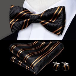 Hi-Tie Pre-tied Men's Bowtie Hanky Cufflinks Set Bow Tie Cravat for Male Jacquard Solid Paisley Floral Men silk Wedding Business