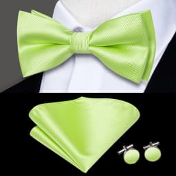 Hi-Tie Pre-tied Men's Bowtie Hanky Cufflinks Set Bow Tie Cravat for Male Jacquard Solid Paisley Floral Men silk Wedding Business