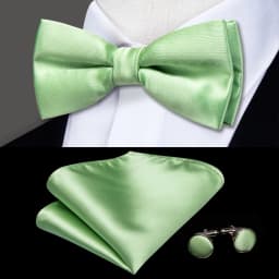 Hi-Tie Pre-tied Men's Bowtie Hanky Cufflinks Set Bow Tie Cravat for Male Jacquard Solid Paisley Floral Men silk Wedding Business