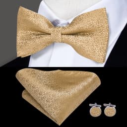 Hi-Tie Pre-tied Men's Bowtie Hanky Cufflinks Set Bow Tie Cravat for Male Jacquard Solid Paisley Floral Men silk Wedding Business