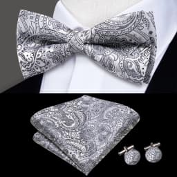 Hi-Tie Pre-tied Men's Bowtie Hanky Cufflinks Set Bow Tie Cravat for Male Jacquard Solid Paisley Floral Men silk Wedding Business