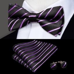Hi-Tie Pre-tied Men's Bowtie Hanky Cufflinks Set Bow Tie Cravat for Male Jacquard Solid Paisley Floral Men silk Wedding Business