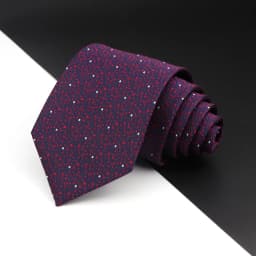 New Men's Tie Fashion Classic Polyester Stripe Paisley Red Blue Purple Wedding Party Designer Business 8cmJacquard Woven Necktie