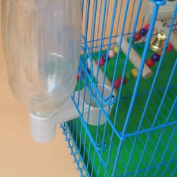Plastic Pet Bird Drinker Feeder Water Bottle Cup Cat Chicken Pigeon Parrot Hamster Double Nozzle Guide for Family Garden