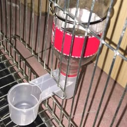Plastic Pet Bird Drinker Feeder Water Bottle Cup Cat Chicken Pigeon Parrot Hamster Double Nozzle Guide for Family Garden