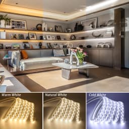 320LED/m LED Strip Light Oblique 5 Rows SMD 2835 Dimmable Super Bright AC 220V 230V 240V Rope Lights IP67 Outdoor Indoor Decor
