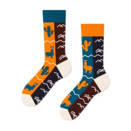 Cross Border New Spring/Summer Personalized Cartoon AB Fashion Socks Creative Cartoon Couple Cotton Socks