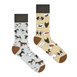 Cross Border New Spring/Summer Personalized Cartoon AB Fashion Socks Creative Cartoon Couple Cotton Socks