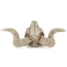 Resin Skeleton Ram Sheep Head Skull Head Wall Hanging 3D Animal Longhorn Sculpture Figurines Crafts Horns Home Decor Ornaments