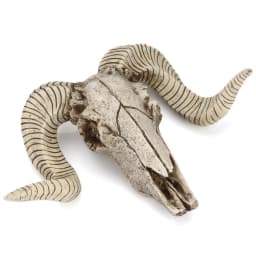 Resin Skeleton Ram Sheep Head Skull Head Wall Hanging 3D Animal Longhorn Sculpture Figurines Crafts Horns Home Decor Ornaments