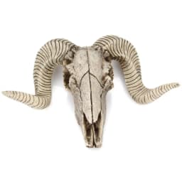 Resin Skeleton Ram Sheep Head Skull Head Wall Hanging 3D Animal Longhorn Sculpture Figurines Crafts Horns Home Decor Ornaments