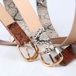 Trend new Ladies Belt snake pattern PU leather Pin buckel Belt Fashion simple jeans belt wind Women's Belt