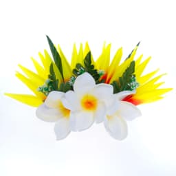 Artificial Silk Bird of Paradise Plumeria Hawaiian Foam Flower Hair Clip Decorative Hairpin Accessories for Women Girls KN-HC004