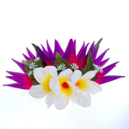 Artificial Silk Bird of Paradise Plumeria Hawaiian Foam Flower Hair Clip Decorative Hairpin Accessories for Women Girls KN-HC004