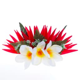 Artificial Silk Bird of Paradise Plumeria Hawaiian Foam Flower Hair Clip Decorative Hairpin Accessories for Women Girls KN-HC004