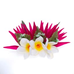 Artificial Silk Bird of Paradise Plumeria Hawaiian Foam Flower Hair Clip Decorative Hairpin Accessories for Women Girls KN-HC004