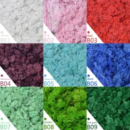 40g Simulation Artificial Moss Green Eternal Life Moss Grass Fake Plant For Home Wall Decor Garden Micro Landscape Material Gift
