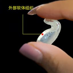 LETOYO Floating Minnow 38F/Pencil 38F 38mm 2.7g Topwater Artificial Silicone Bait Soft Plastic Body Trout Fishing Lures