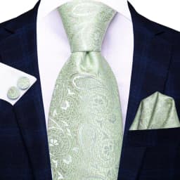 Paisley Sage Green 2022 New Fashion Brand Ties for Men Wedding Party Necktie Set Handky Cufflinks Gift Wholesale Hi-Tie Dropship