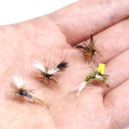 6pcs/5pcs Boxed 18#16#Trout Fishing Small Dry Flies Mayfly Caddis Beatis Imitating Panfish Grayling Striking Fly Fishing Flies