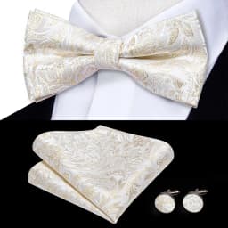 Hi-Tie Brand Silk Mens Bowtie Hanky Cufflinks Set Black Red Blue Gold Green White Pre-tied Butterfly Knot Bow Tie Wedding Work