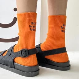 Funny Embroidery Letter Cotton Socks Korean Whats for Snack Today Japan Designer Socks Thread Couple Mid-tube Sock for Men Women