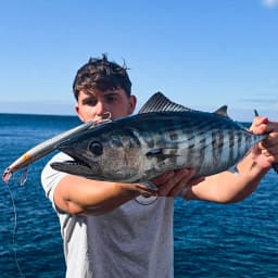 TSURINOYA 140F Ultra-long Casting Floating Minnow STINGER 140mm 24g Artificial Large Hard Bait Weight Sea Fishing Lure