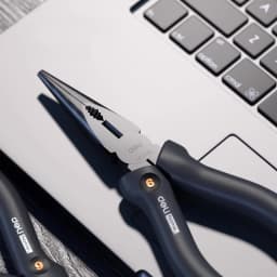 Deli Pointed Nose Pliers 6-Inch Steel Wire Pliers Multifunctional Eccentric Labor-Saving Household Manual Wire Stripping Pliers